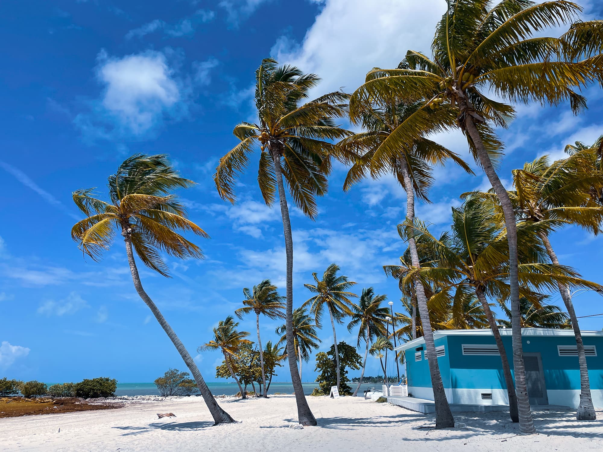 Smathers Beach, Key West — Sharp Edge Construction's home in the Florida Keys